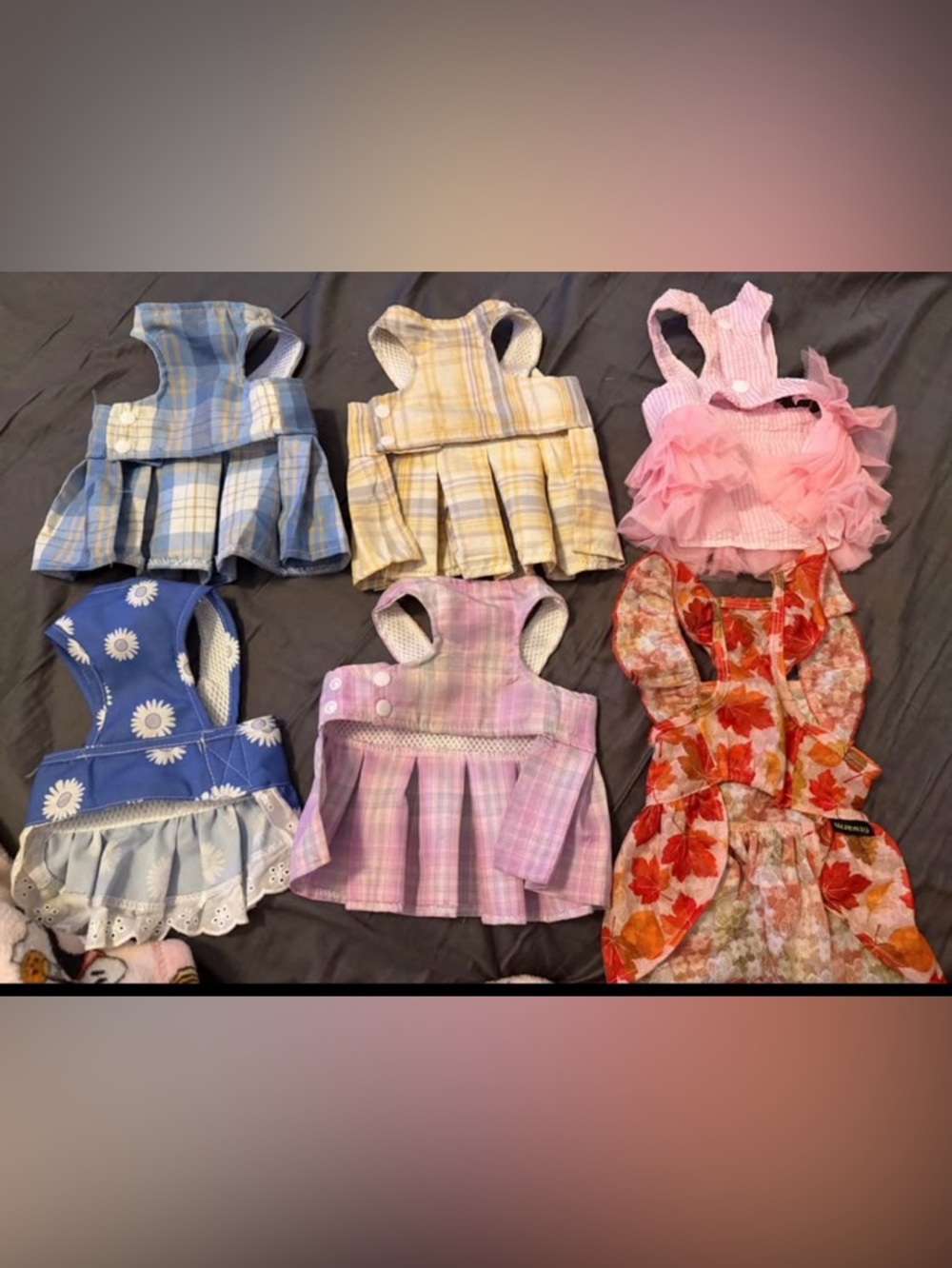 Assorted Dogs' Dresses/Harnesses